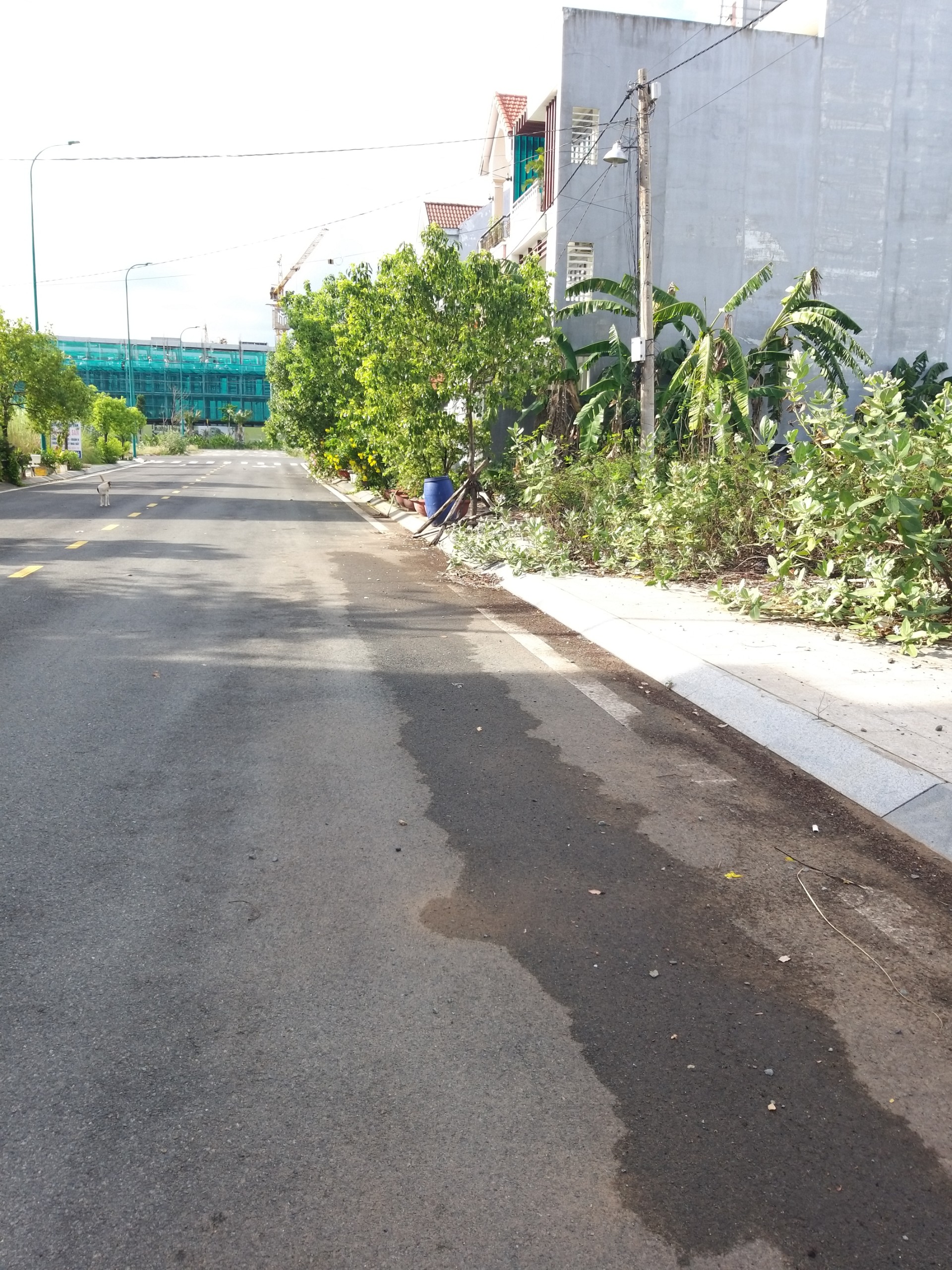 Bán đất đường 8 phường An Phú Quận 2 giá 19,8 tỷ