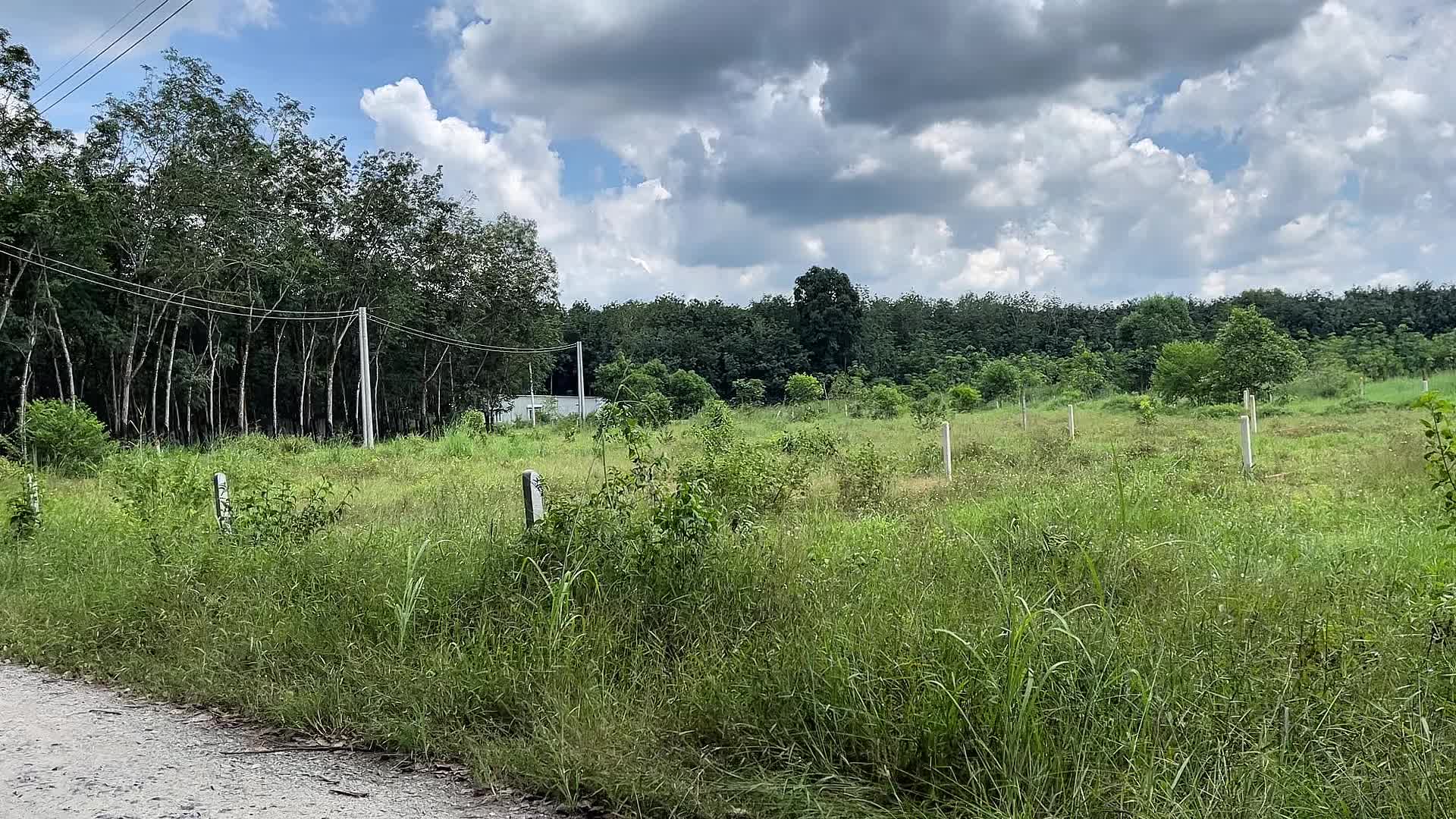 Đất Dầu Tiếng Bình Dương giá 590 triệu