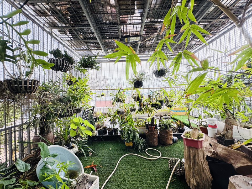 Bán Liền Kề An Hưng Dương Nội – 5 Tầng Thang Máy – Hoàn Thiện Tâm Huyết, Về Ở Ngay