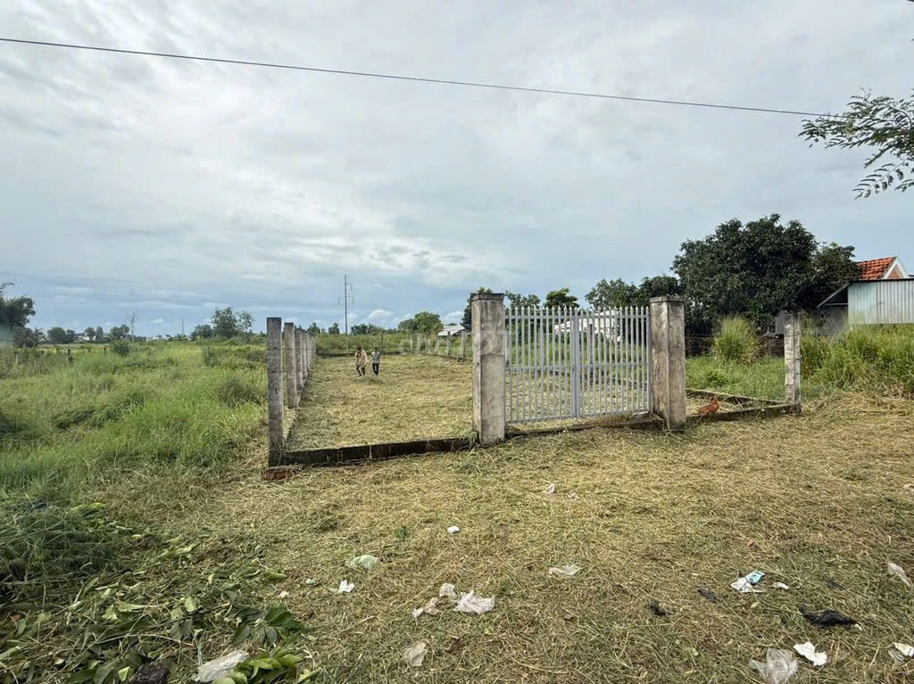 Chính chủ bán 500m2 đất thổ cư mặt tiền đường lớn, cạnh dự án Vinhomes Tại Thị trấn Cần Giuộc