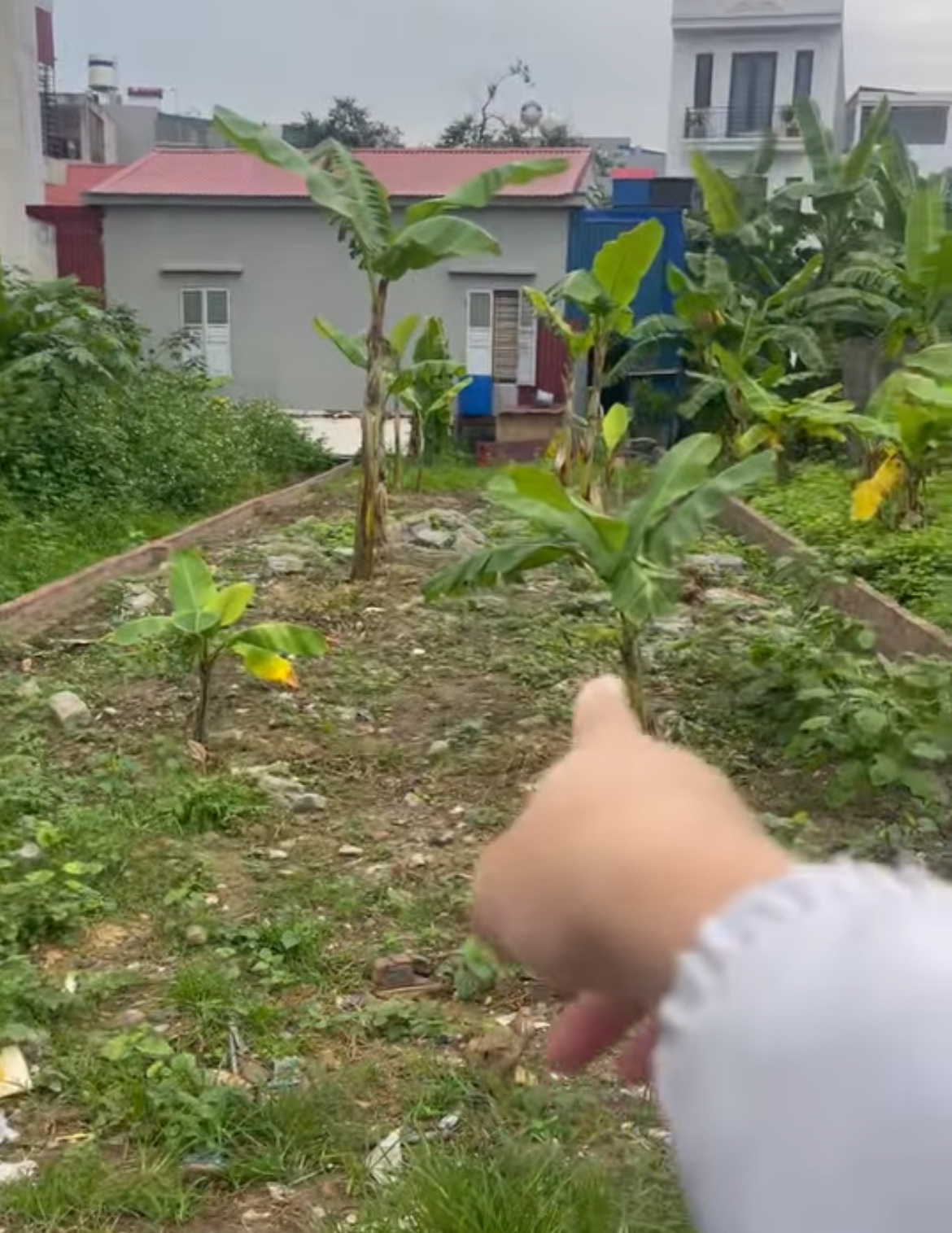 Bán đất 115m2 Vĩnh Khê, An Dương, Hải Phòng