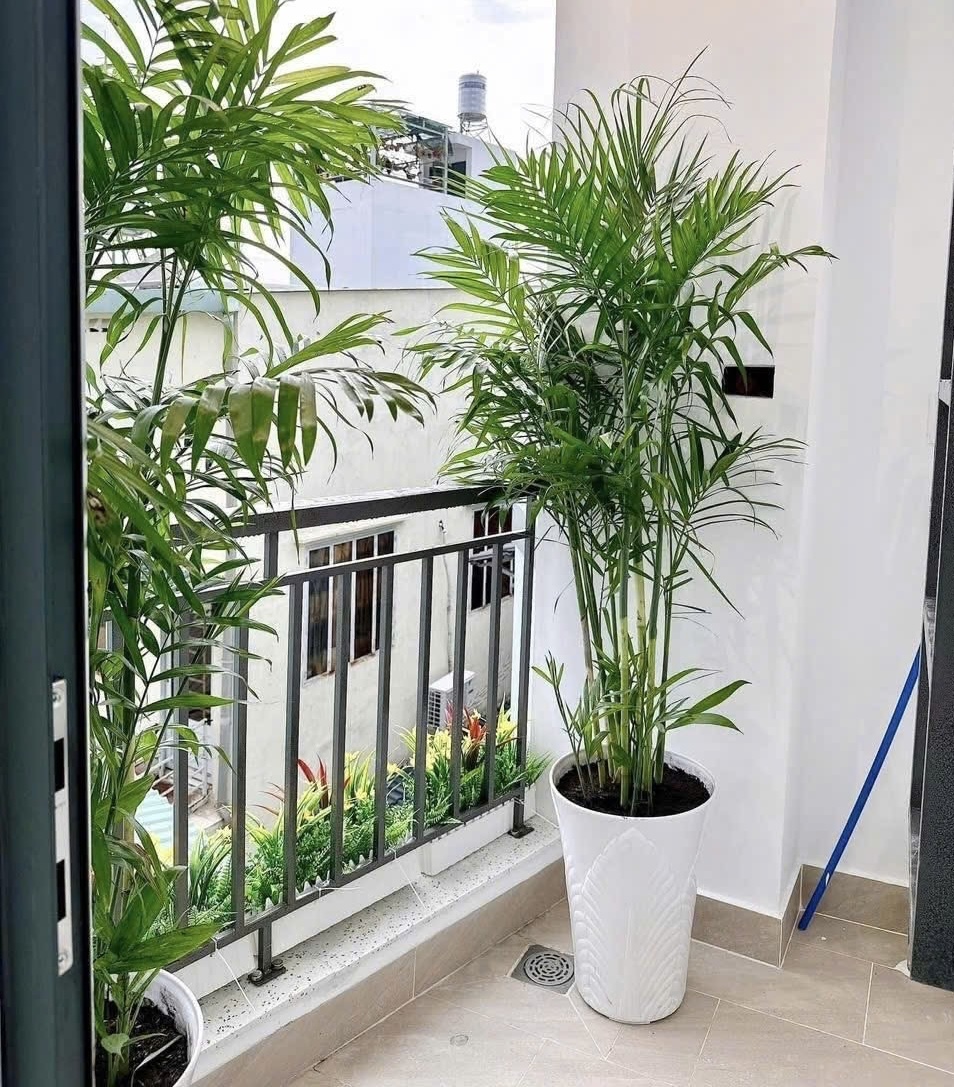 Bán nhà 4,5m x 8m, 4 phòng ngủ ngay Lotte Nguyễn Văn Lượng