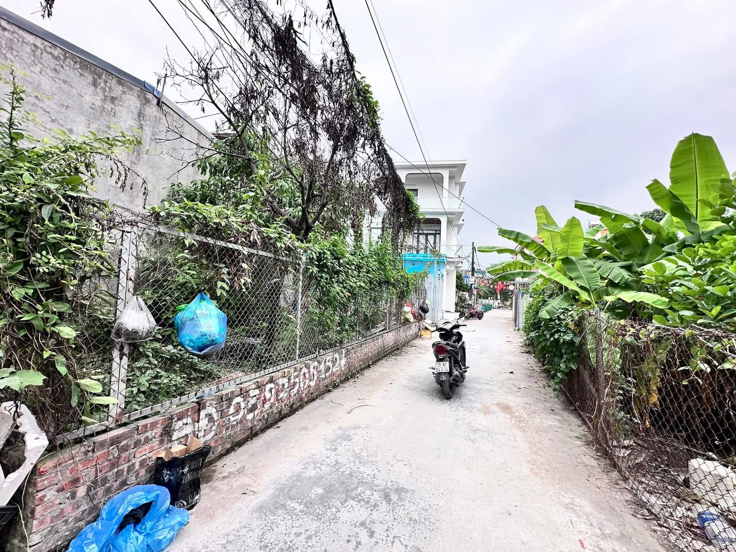 Đất đẹp Vĩnh Khê, An Dương, Hải Phòng