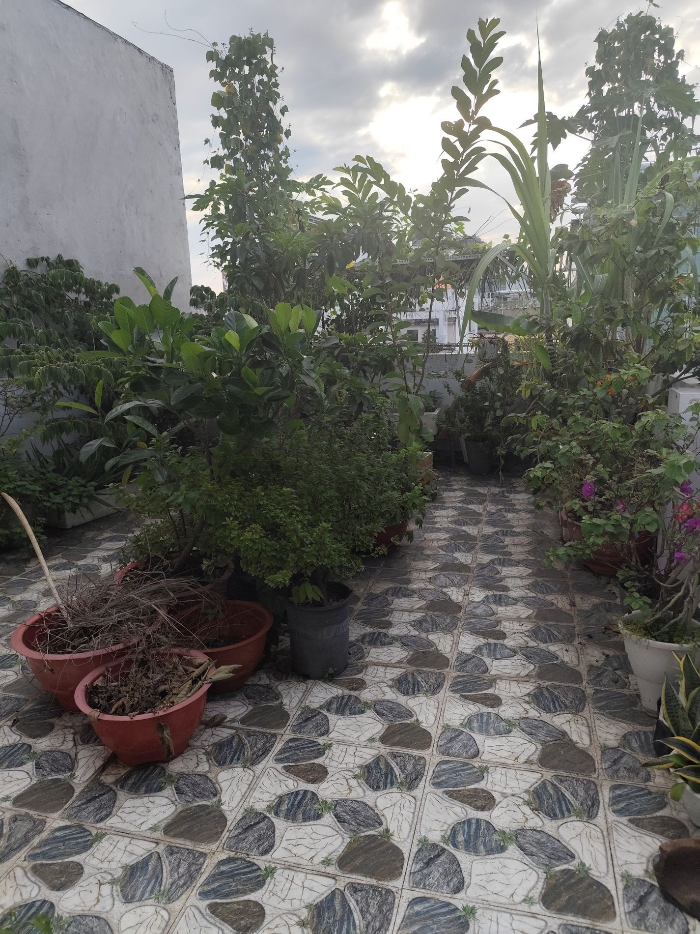 Hẻm xe hơi 6m Khuông Việt, 96m2, 4 tầng, 7 ngủ, chỉ 12 tỷ, nơi gia đình sum vầy