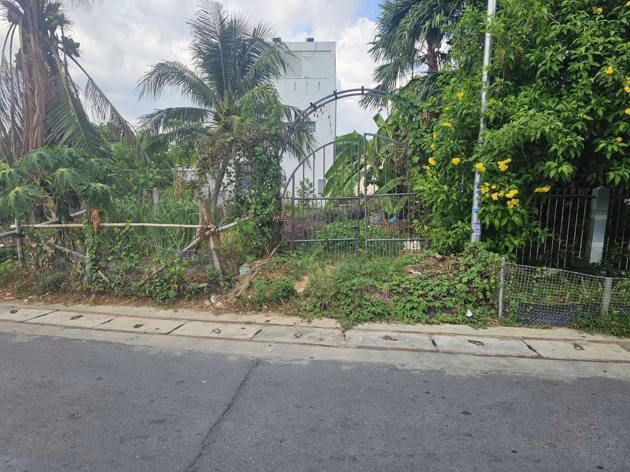 Đất đẹp đường nhựa gần nhà thờ Hà Dừa