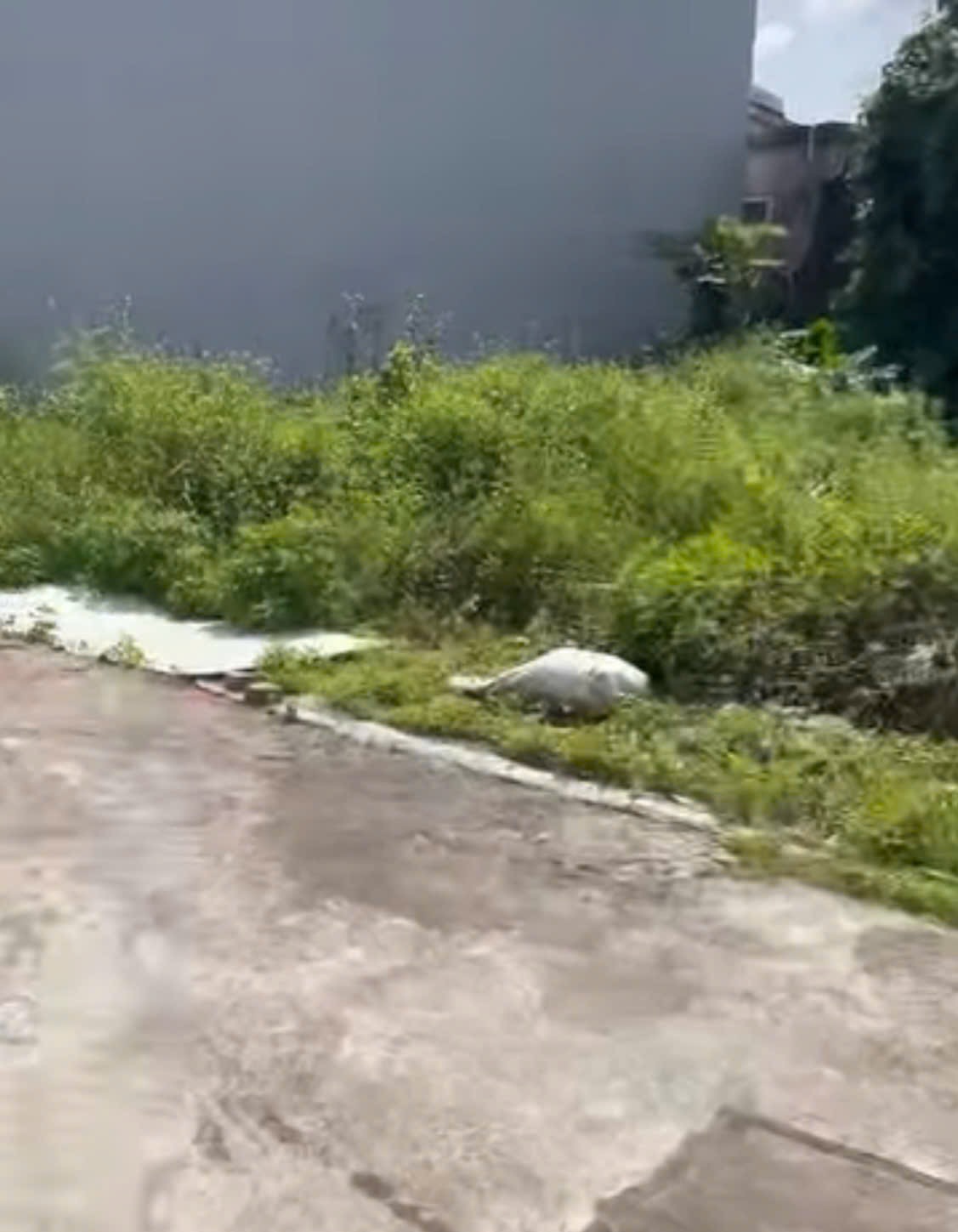 Bán đất 61,5m2 Kiến Phong, An Dương, Hải Phòng