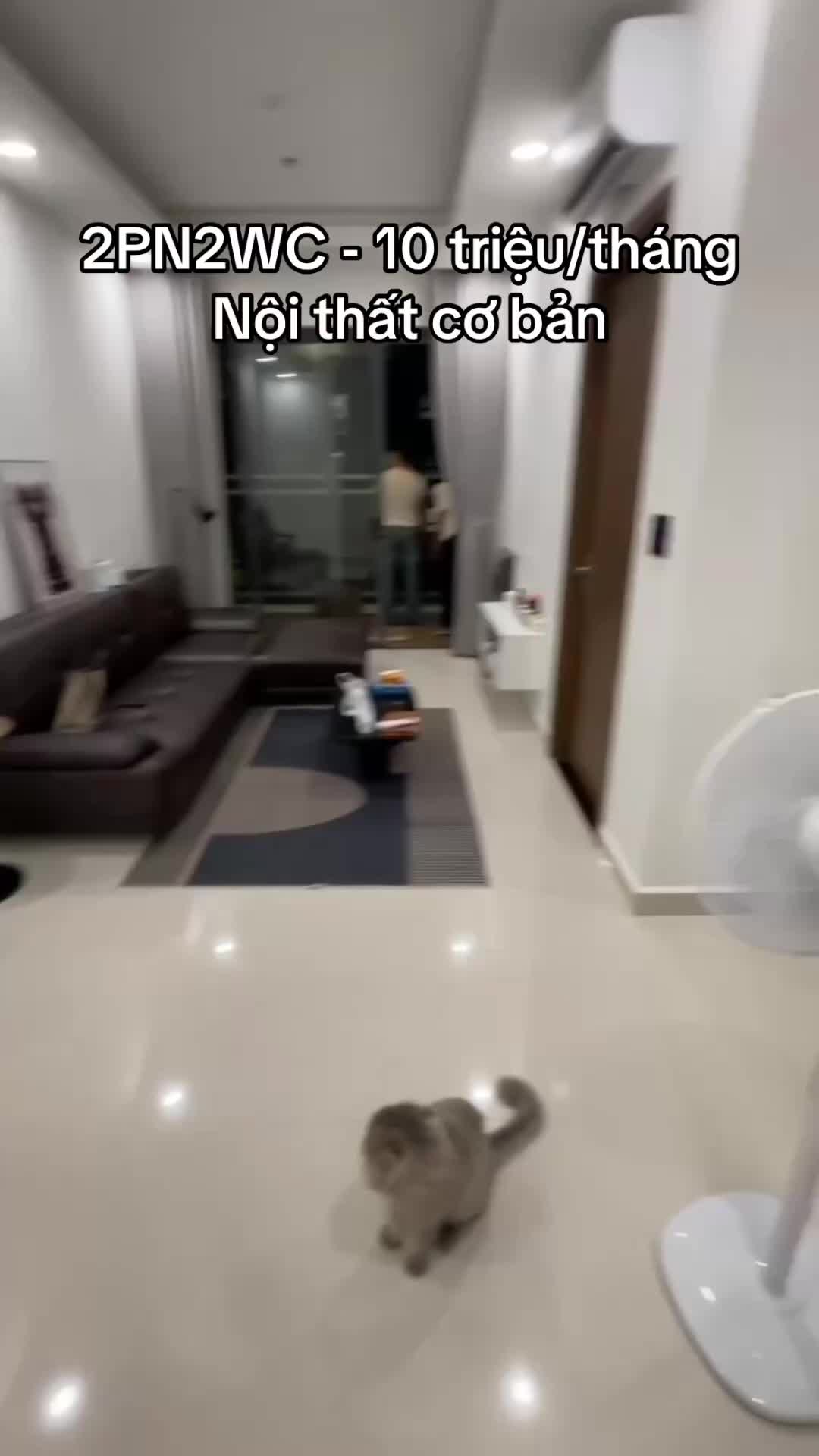 10 triệu/ tháng nội thất cơ bản, cho thuê căn hộ Q7 Riverside