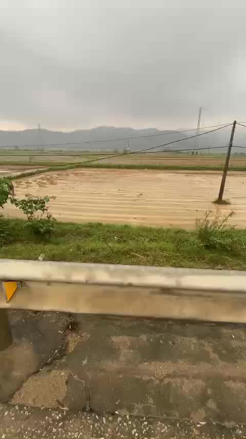 2 lô Xuân Lam, Nghi Xuân giá cả thương lượng