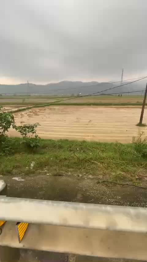 2 lô Xuân Lam, Nghi Xuân giá cả thương lượng