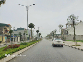 Bán lô đất mặt đường đôi Lương Như Học, phường Tân Hưng, thành phố Hải Dương, 100m2, mặt tiền 5m, giá rất tốt