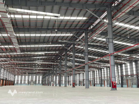 Cho thuê nhà xưởng 12.000m² trong công nghiệp tại Hải Dương
