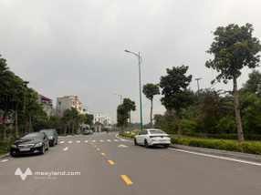 Bán đất khu phân lô Quân đội A38 Tư Đình, gần biệt thự Minh Tâm, diện tích 79m2, mặt tiền 6,2m, ô tô tránh