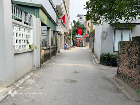 Cần bán 176m2 đất thổ cư Làng Vàng, Gia Lâm, đường xe vios vào nhà, phù hợp làm nhà vườn