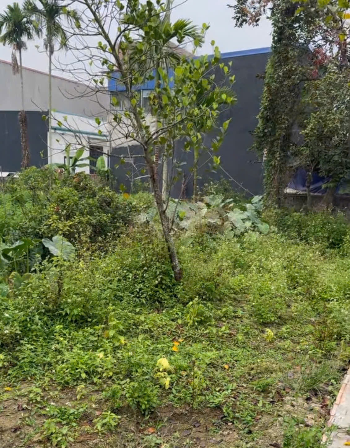 Bán đất 64m2 Kiến Phong, An Dương, Hải Phòng