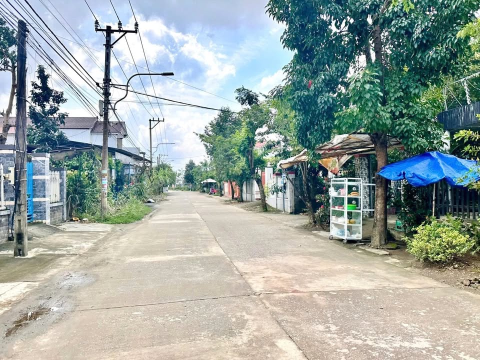 Bán đất diện tích 186m² sát chợ – pháp lý rõ – giá mềm