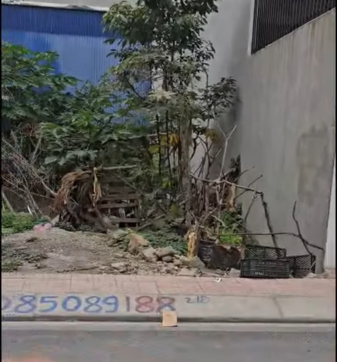 Bán đất mặt đường Cái Tắt, An Dương, Hải Phòng