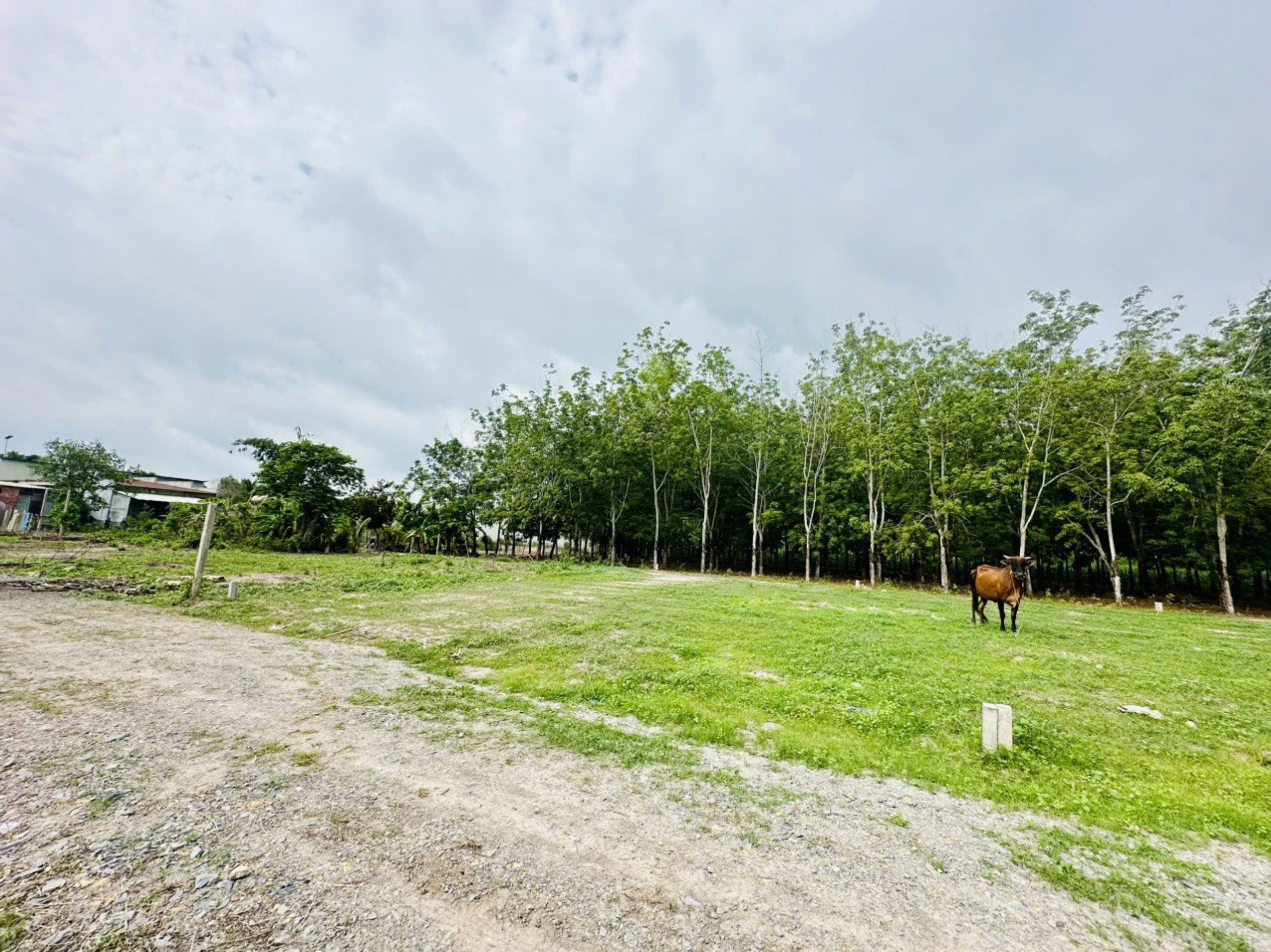 110m2 thổ cư ngay gần cổng khu công nghiệp Phước Đông 3200ha