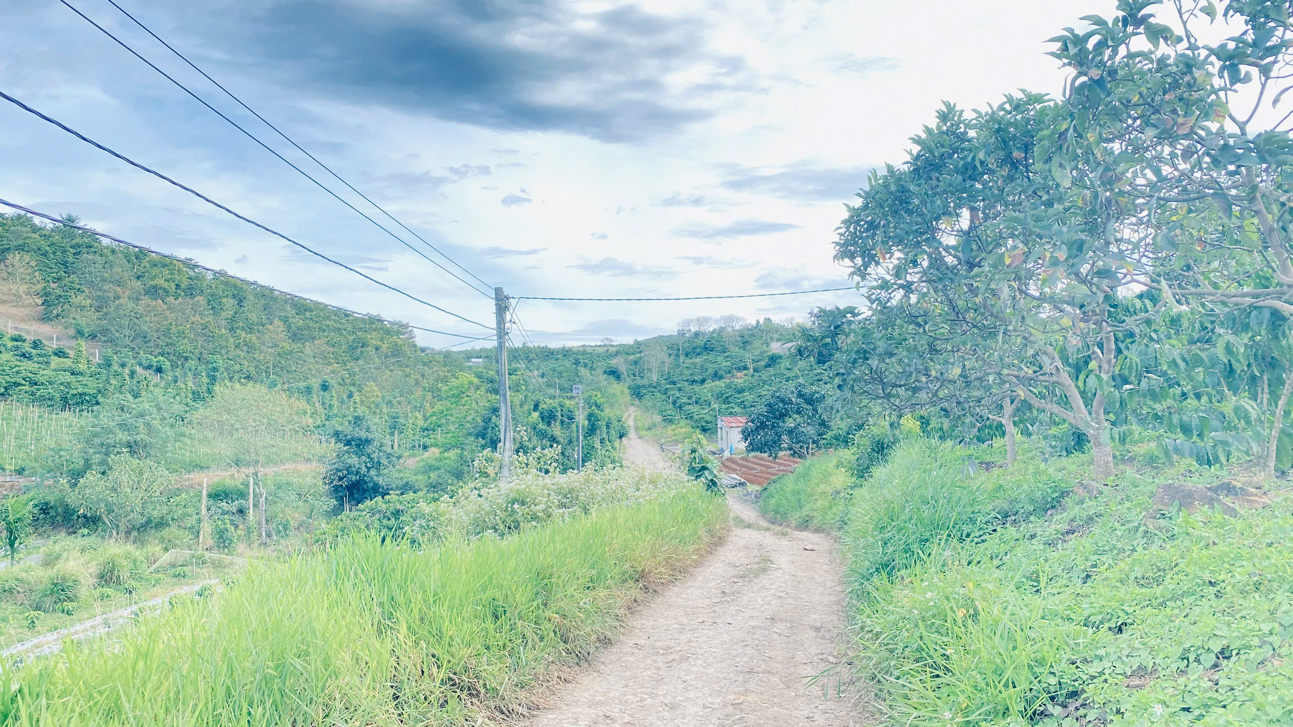 Hơn 9 sào sổ sẵn 8,5 sào, full cafe thuộc Ninh Gia, Lâm Đồng