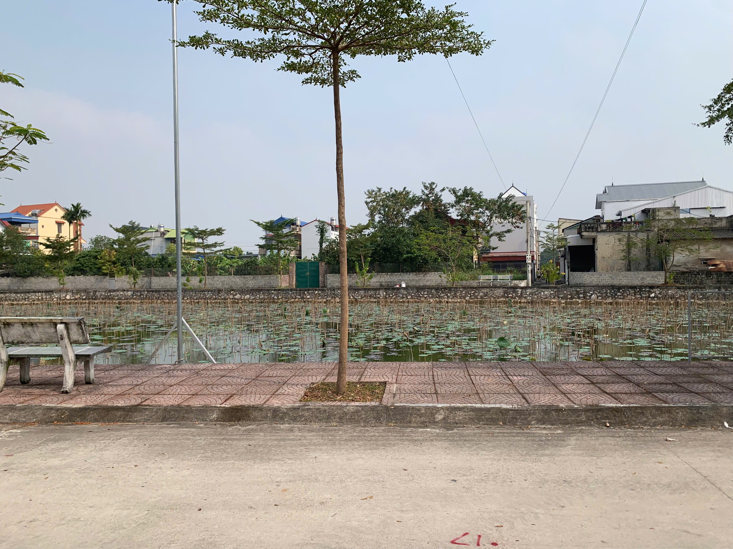 100m² full thổ cư view hồ sen – Đất đẹp thôn Văn Cao – Trung tâm Vân Đình 2,55 tỷ