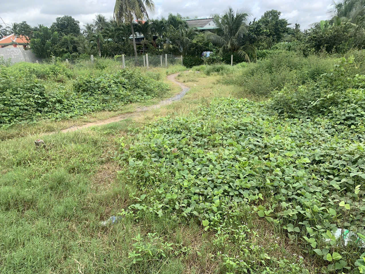 Chính chủ bán 229m2 đất tại đường ĐT. 818, xã Nhị Thành, huyện Thủ Thừa, Long An