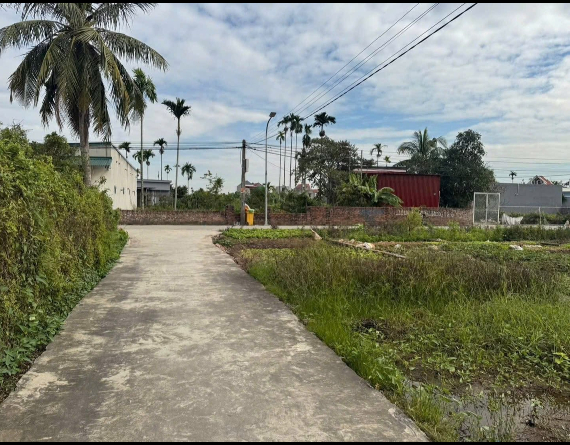 Bán đất 76m2 Văn Xá, Quốc Tuấn, An Dương, Hải Phòng