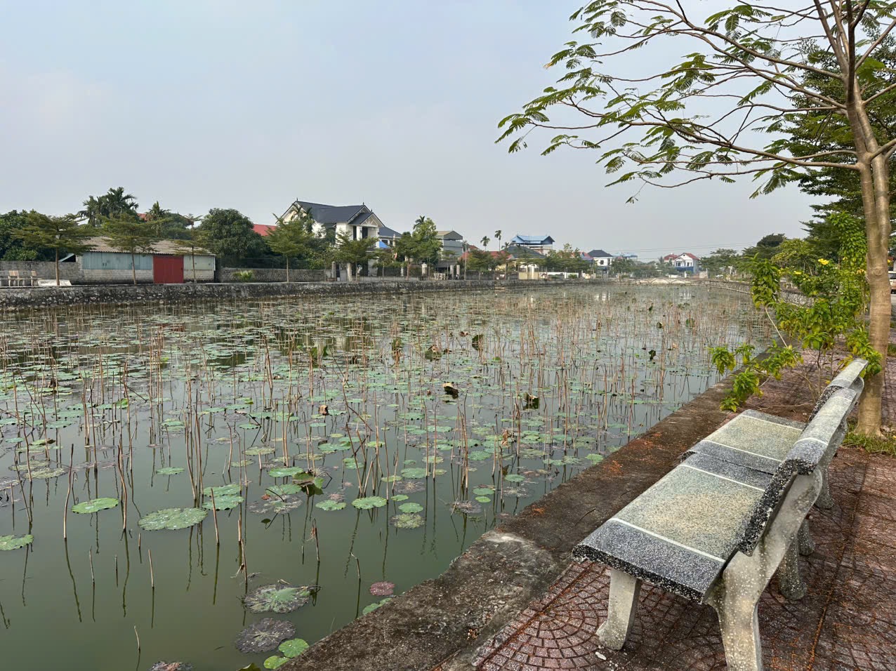 Ứng Hoà, view hồ sinh thái, 80m², lô góc đẹp, Văn Cao, Tảo Dương Văn, nhỉnh xíu 3 tỷ