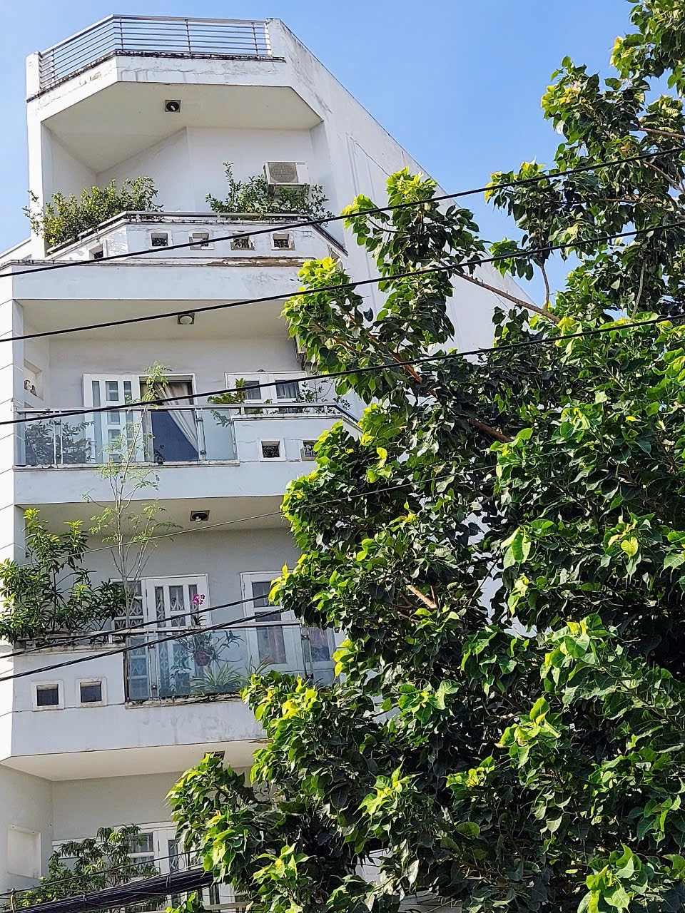 Căn hộ dịch vụ dòng tiền khoán ổn định 35 triệu/tháng, nhà 5 tầng 9 phòng, mặt tiền Nguyên Hồng giá 12,6 tỷ