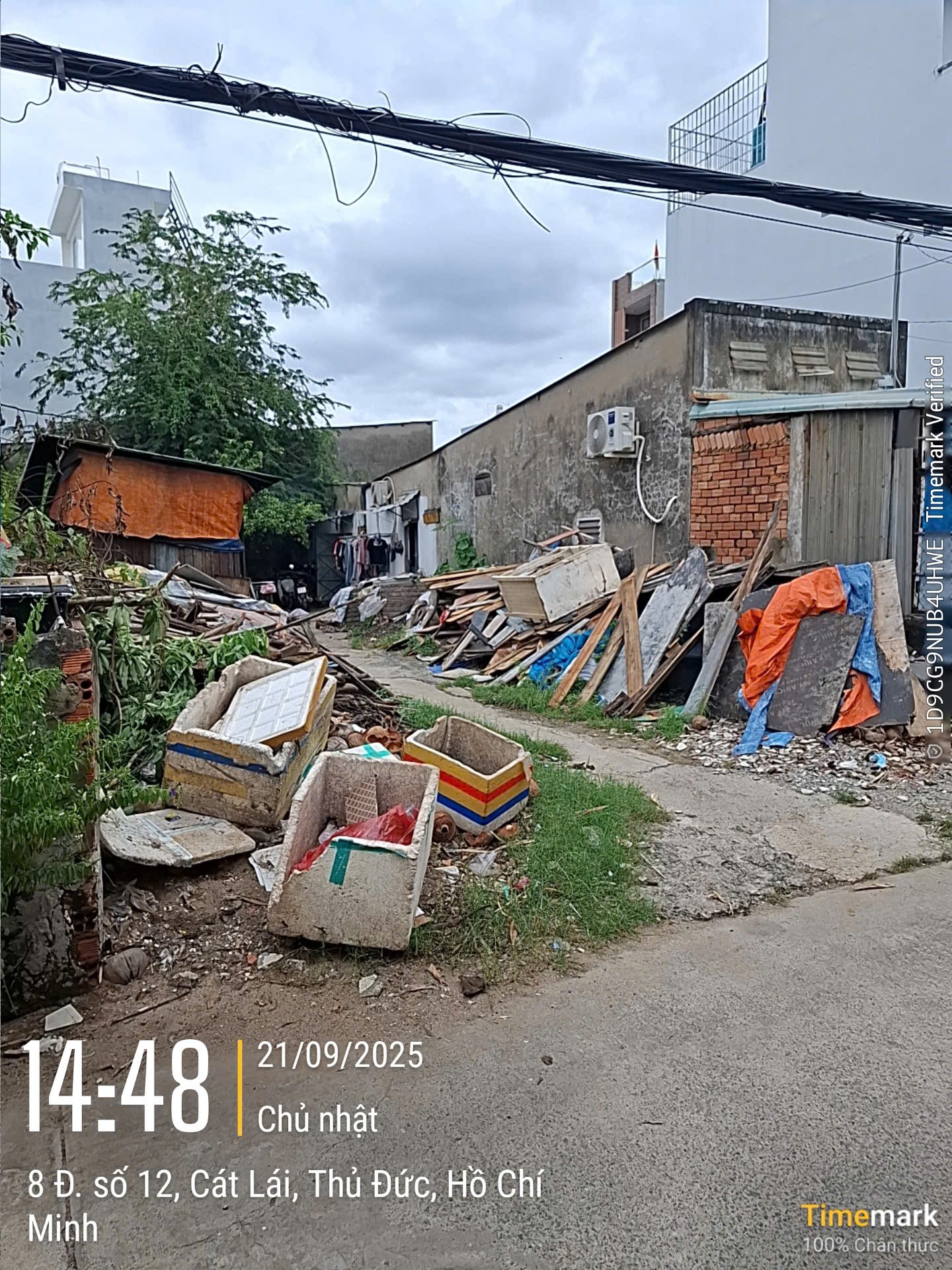 Bán đất đường 12 Cát Lái, quận 2 giá 10,5 tỷ