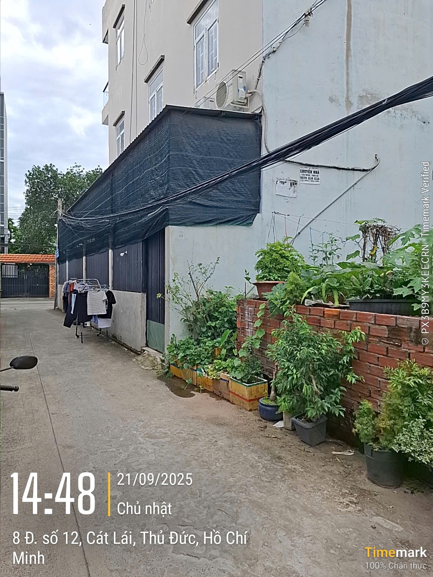 Bán đất đường 12 Cát Lái, quận 2 giá 10,5 tỷ