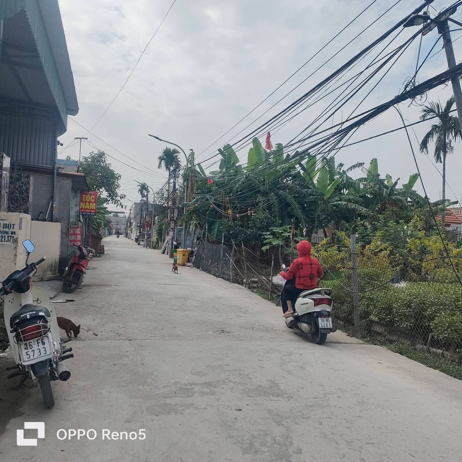 Bán 2 lô 50m2 Tràng Duệ, An Dương, Hải Phòng