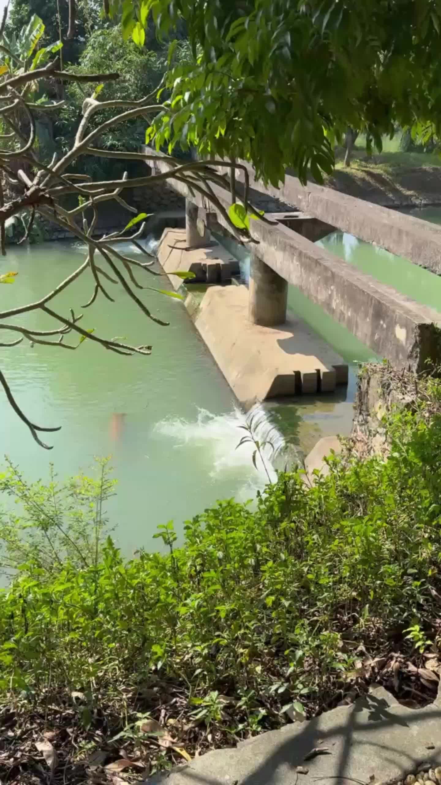 Về Lạc Thủy mà không ngắm sông Bôi thì quá phí