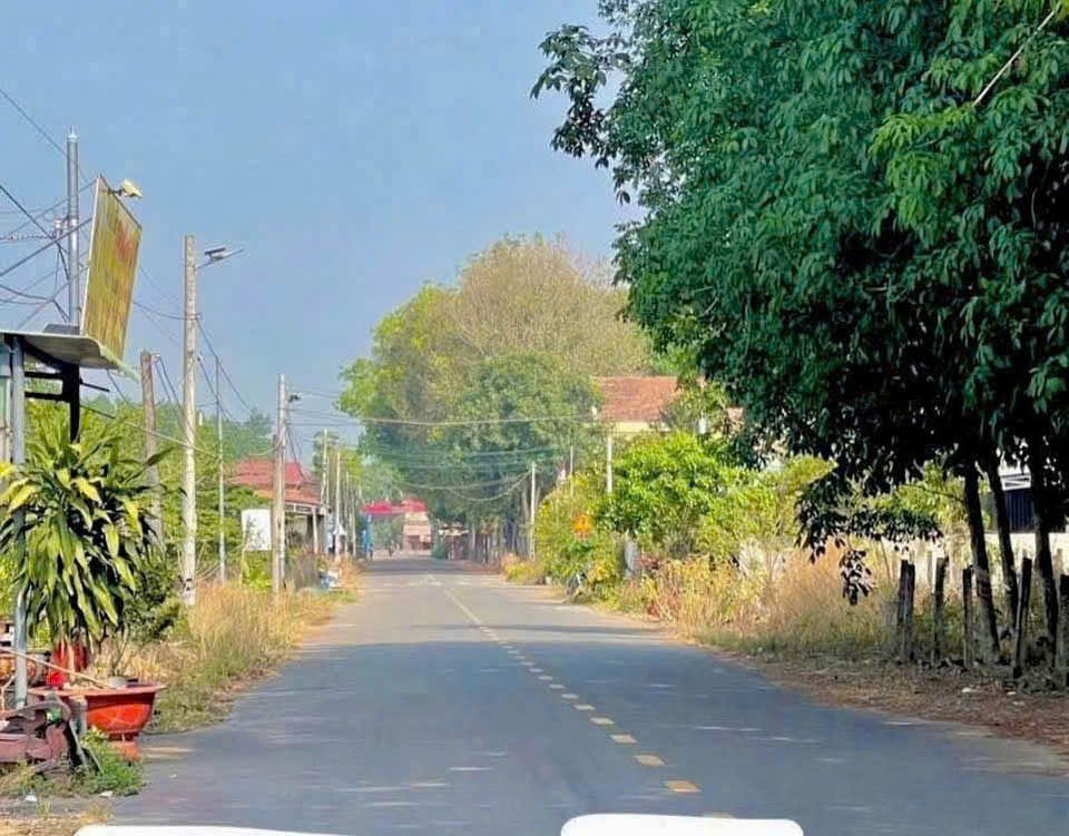 Bán nhanh lô đất, vị trí cực đẹp nằm ngay cổng An Linh 1000ha