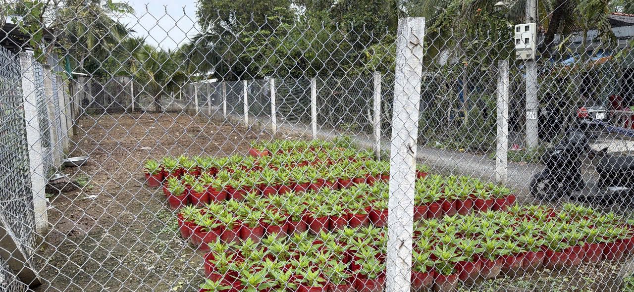 Bán đất mặt tiền kênh Chín Tế 165,2m2, quy hoạch đất ở