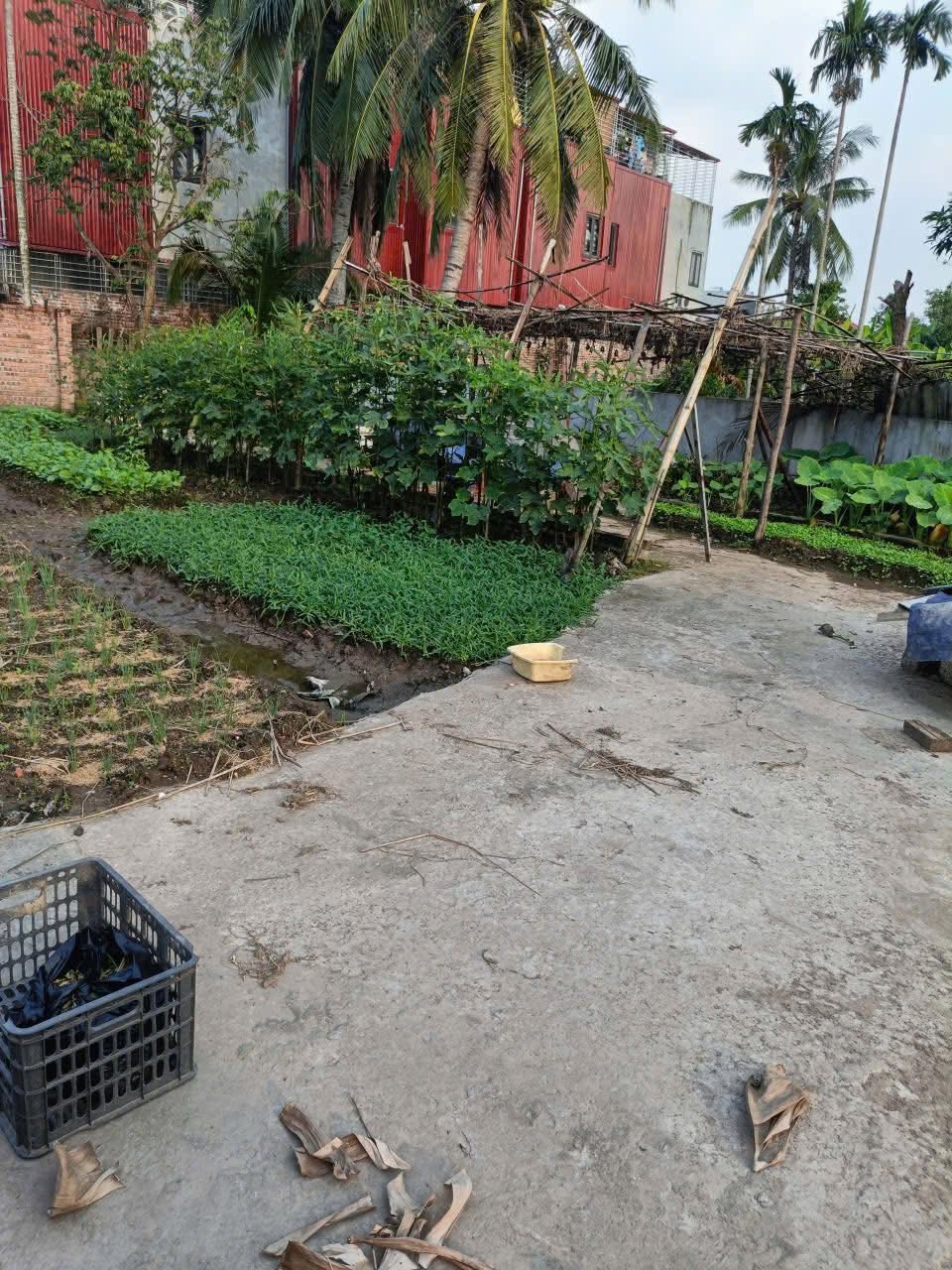 Bán đất 65m2, Lương Quán, An Dương, Hải Phòng