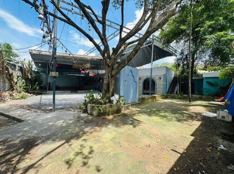 Cho thuê mặt bằng đường Nguyễn Văn Linh, An Bình, Cần Thơ