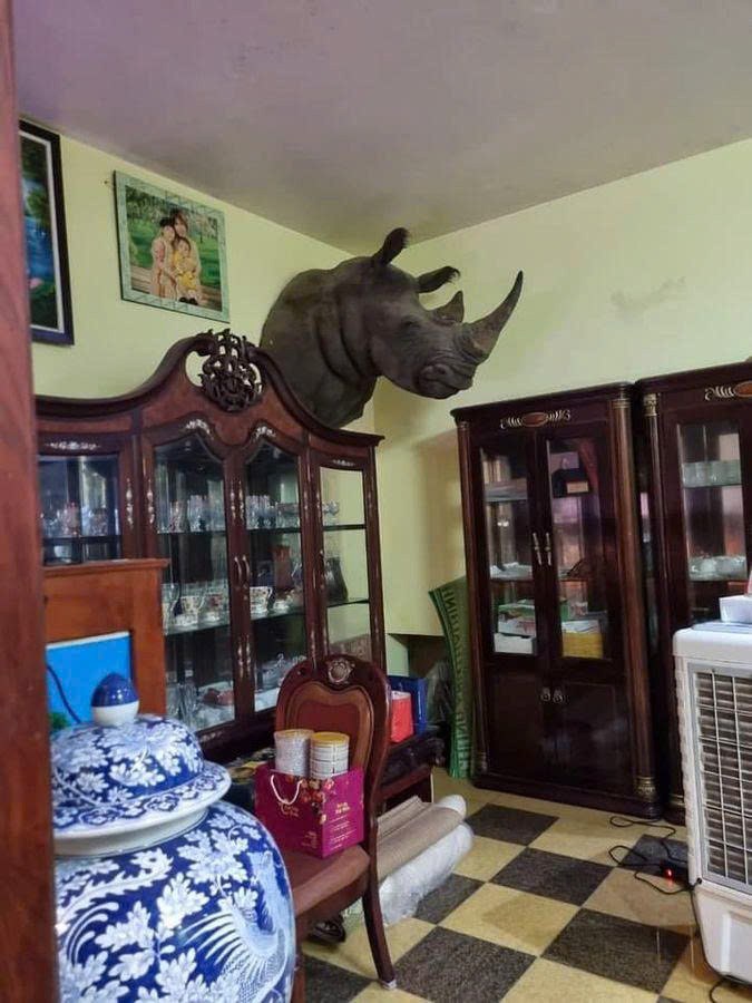 Hiếm niệt thự đẹp 4 tầng mặt phố đường 19-5, 210m2, mặt tiền rộng 10m, vị trí đẹp, kinh doanh, giá 77 tỷ