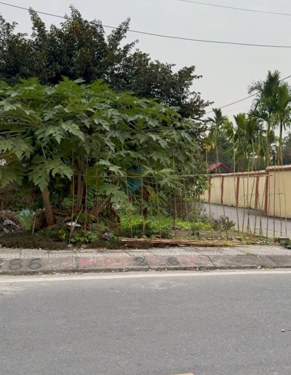 Bán đất 62m2 Kiến Phong, An Dương, Hải Phòng