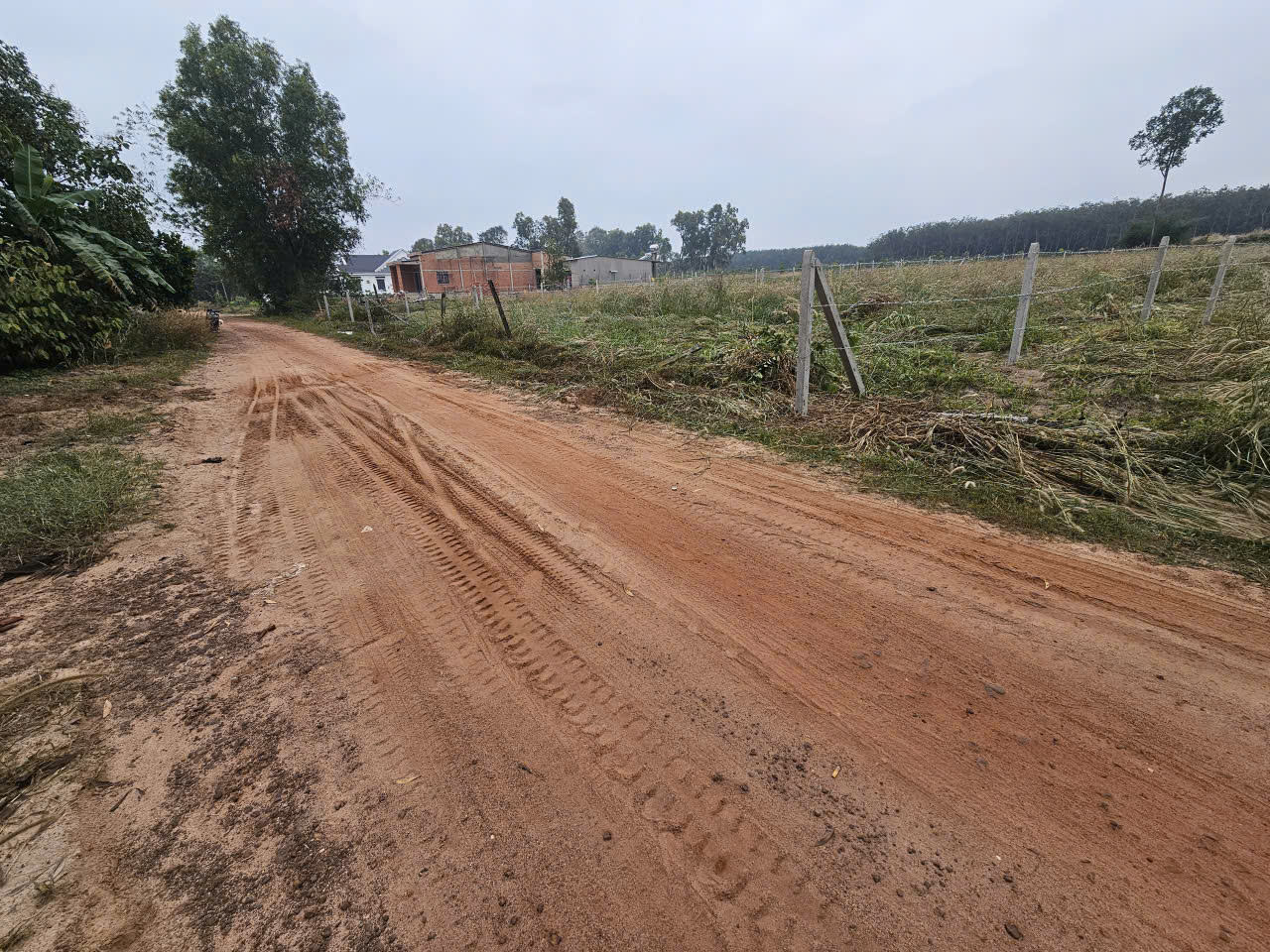 5x40 full thổ, ngay gần cổng khu công nghiệp Phước Đông 3200ha, 550 triệu