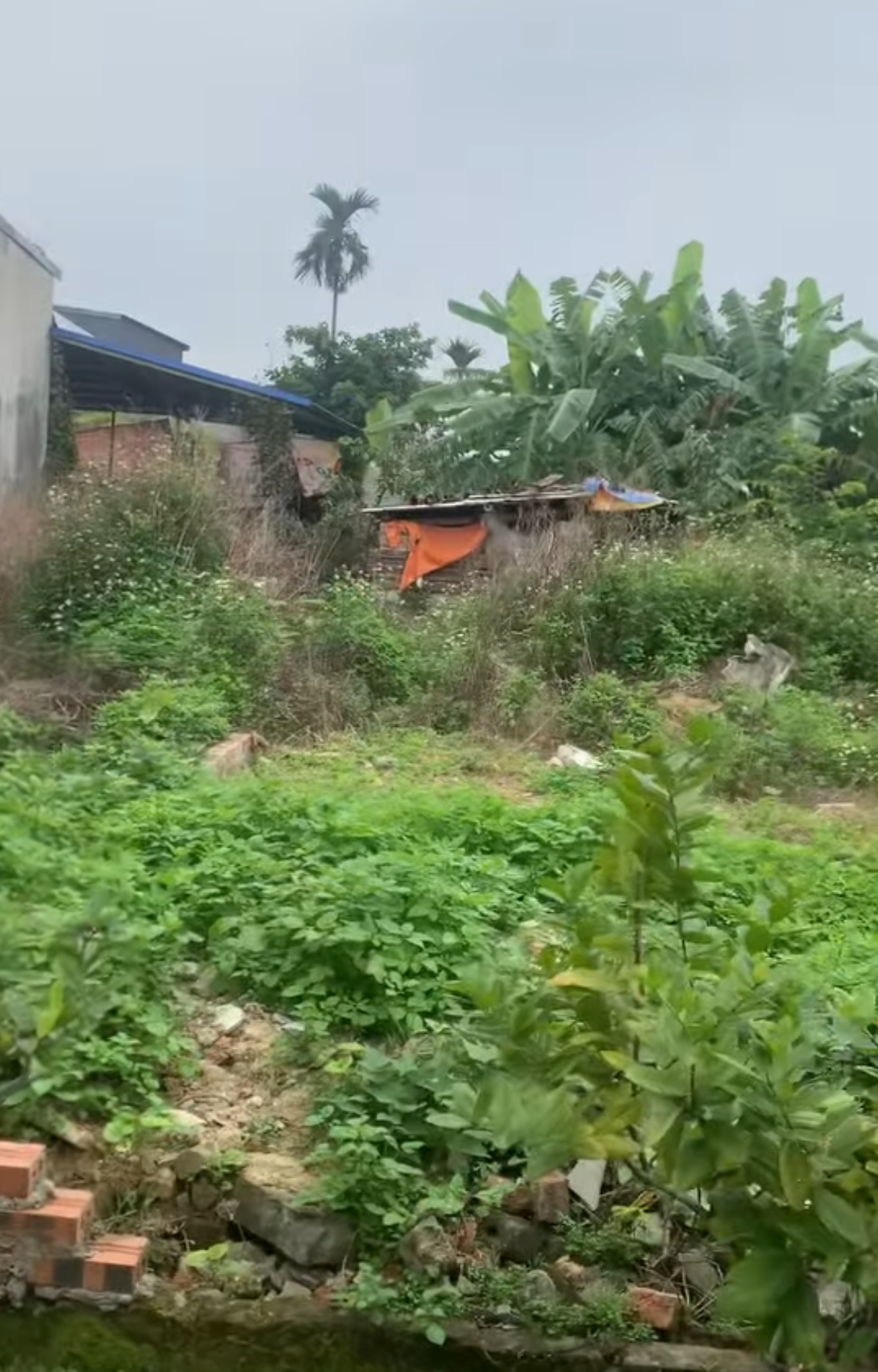 Siêu đẹp 65m2 Lương Quy, An Dương, Hải Phòng