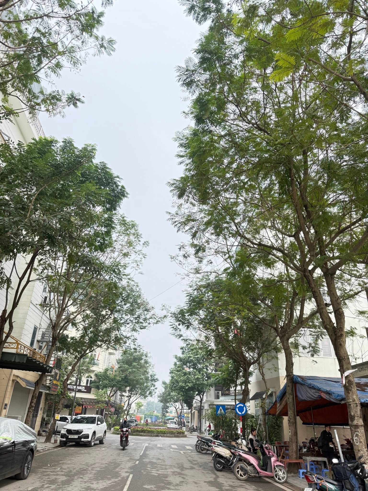 Bán nhà liền kề khu đô thị Yên Nghĩa, Hà Đông, 100m2 xây 5 tầng