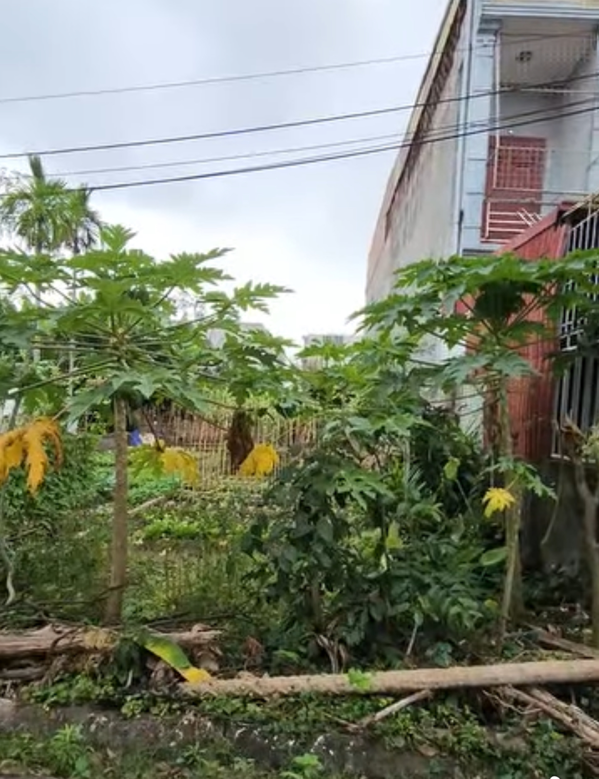 Bán 100m2 chung cư Văn Cú, An Dương, Hải Phòng