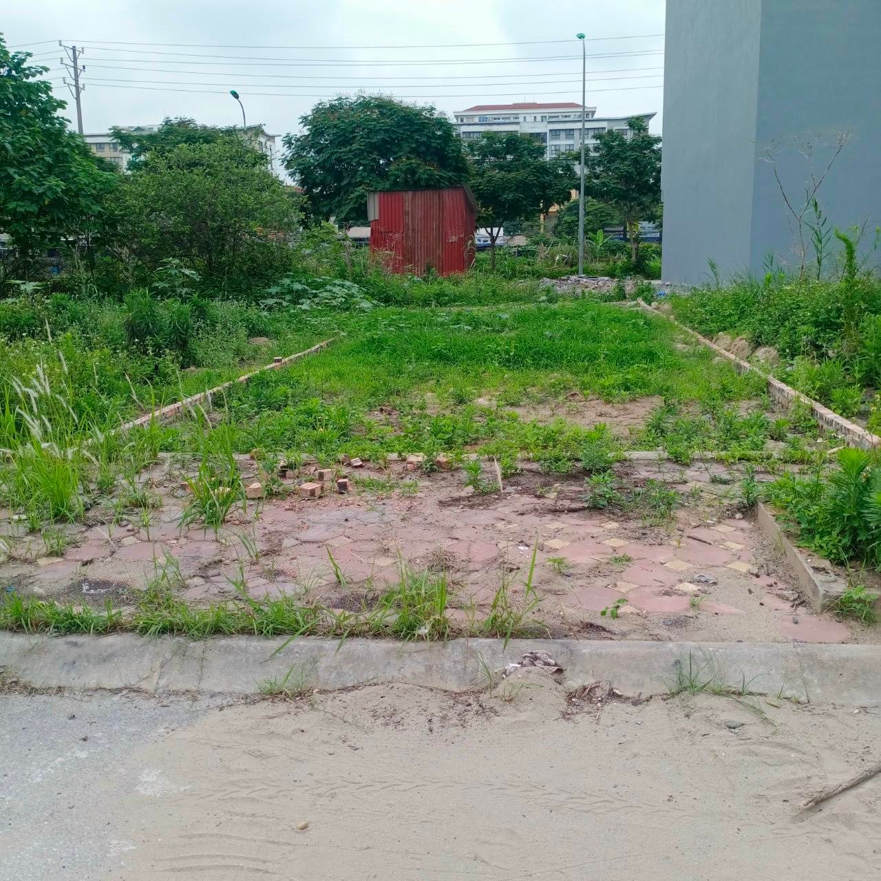 Bán đất tái định cư Trâu Quỳ, Gia Lâm, vị trí đẹp view vườn hoa, giá đầu tư thanh khoản tốt