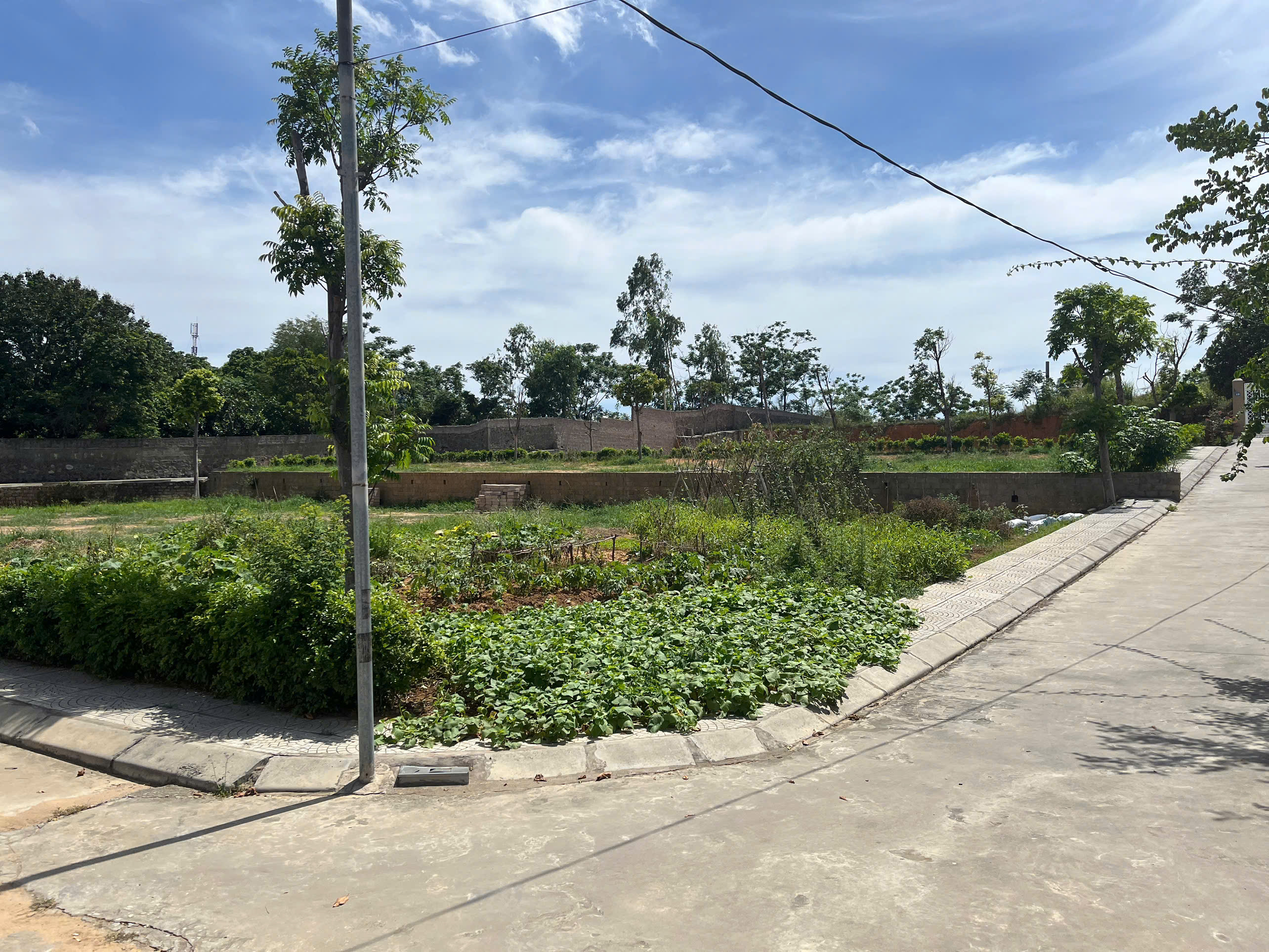 Cực Hot đất nền siêu sinh lời cực hiếm tại Quảng Ninh chỉ từ 1 tỷ