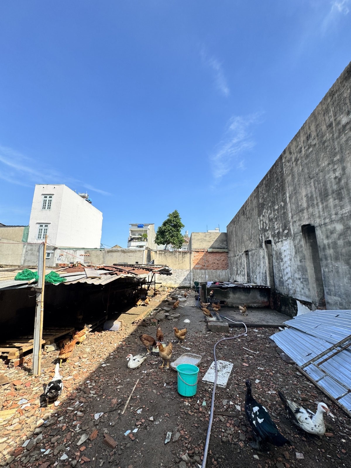 Bán nhà hẻm xe hơi 5m - Linh Tây, diện tích 360m2, chỉ 18 tỷ, nhà 2 lầu, 4 phòng ngủ, gần Kha Vạn Cân