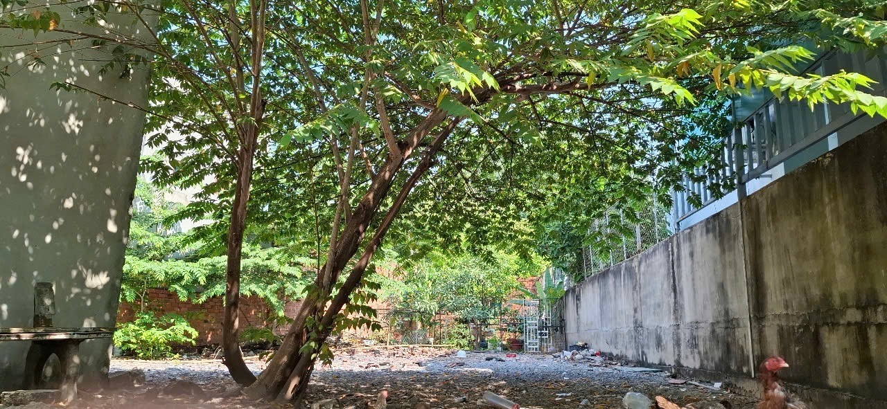 Bán 234m2 đất hẻm xe hơi Trường Thọ, giá 12 tỷ khu vip gần Đặng Văn Bi, ngang 7m