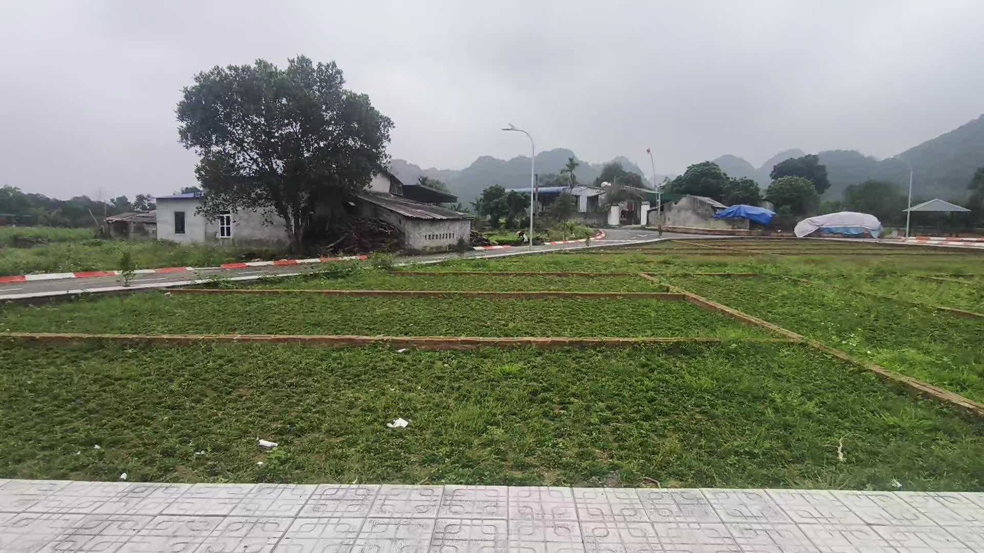 Rất cần bán lô đất 55m2, giá 440 triệu