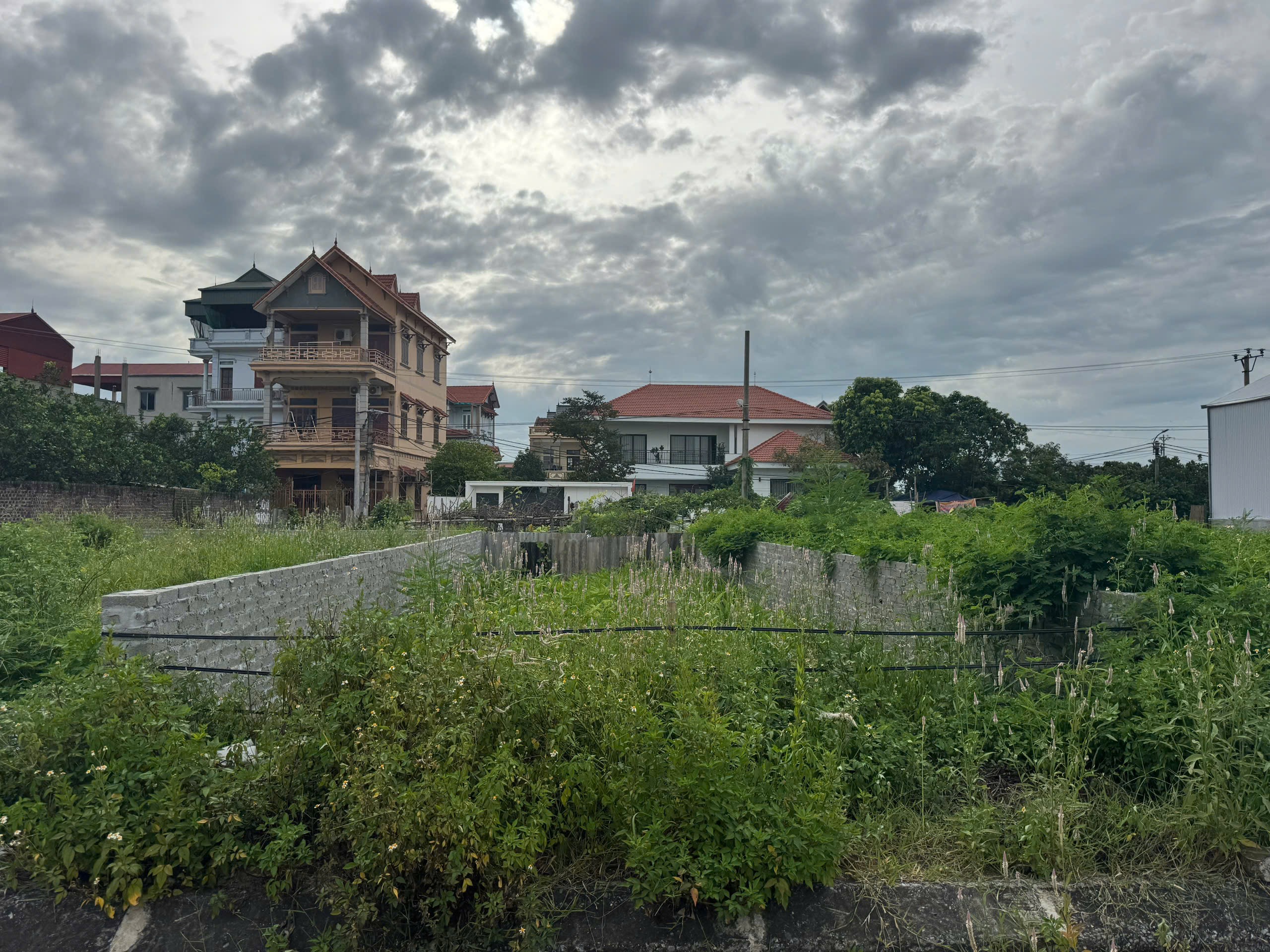 Bán đất đấu giá Xuân Trạch, vài bước lên cầu Tứ Liên