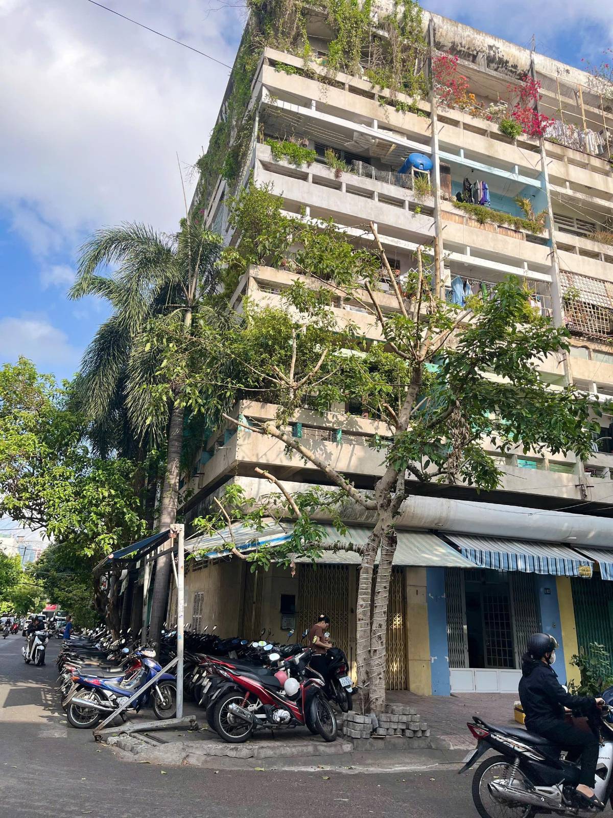 ⁨⁨Tân Bình - Shophouse chung cư Thanh Niên 64m2, sổ hồng riêng, tầng trệt, 3 ngủ, dòng tiền 15 triệu/tháng, giá 4,9 tỷ