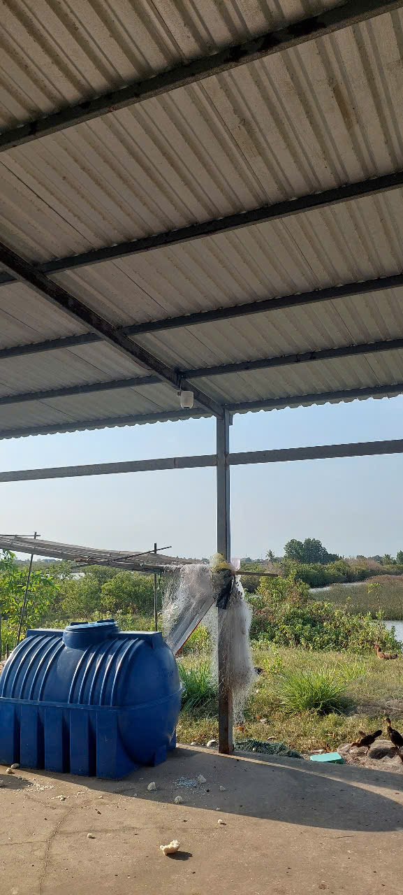 Cơ hội vàng sở hữu 1,8 hécta đất thủy sản, tặng ngay nhà kiên cố, full nội thất