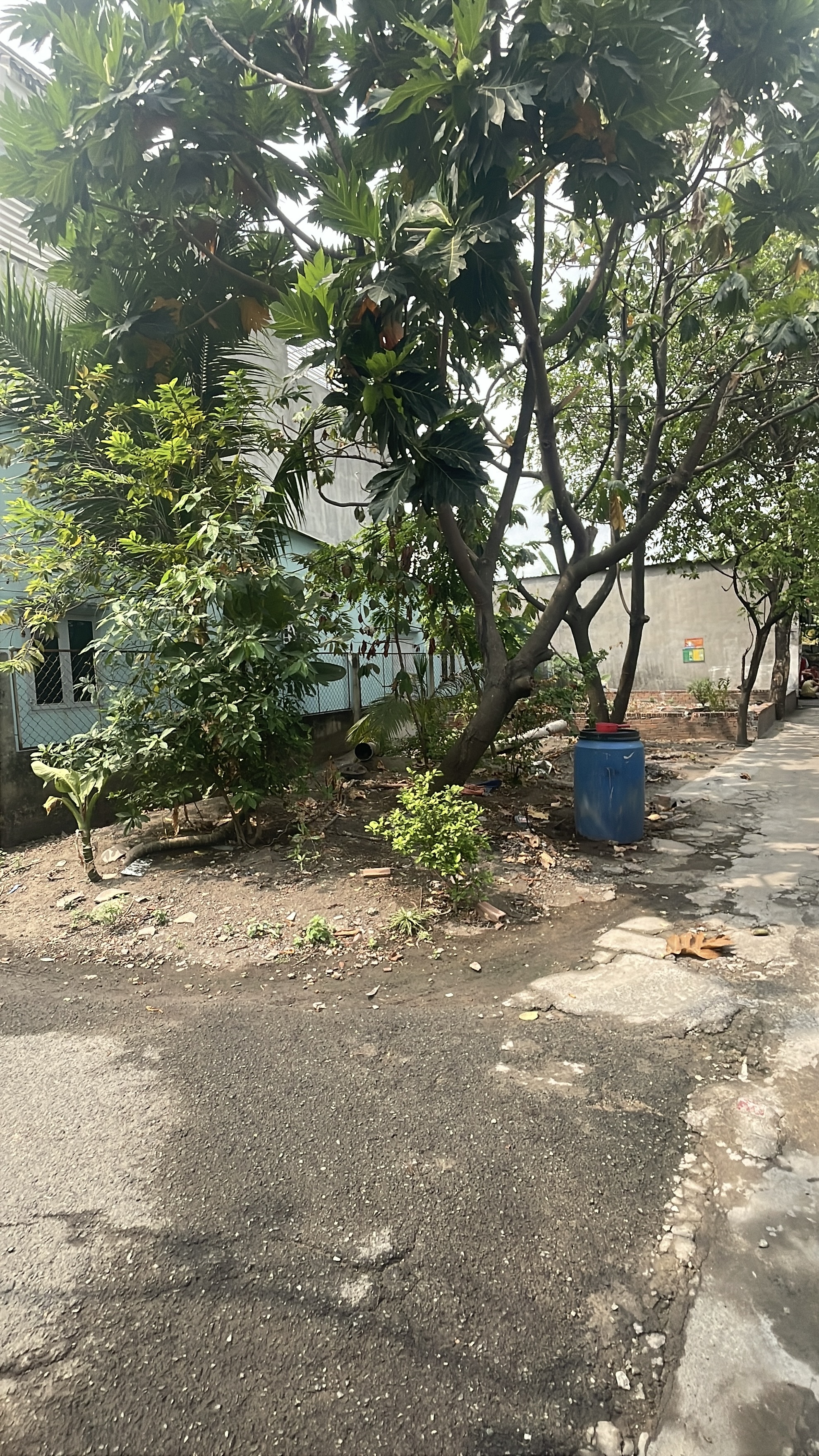 Đất Linh Trung diện tích 132m2, hẻm xe hơi, ngang 6,5m nở hậu 6,9m, xây 4 lầu, chỉ 7,3 tỷ